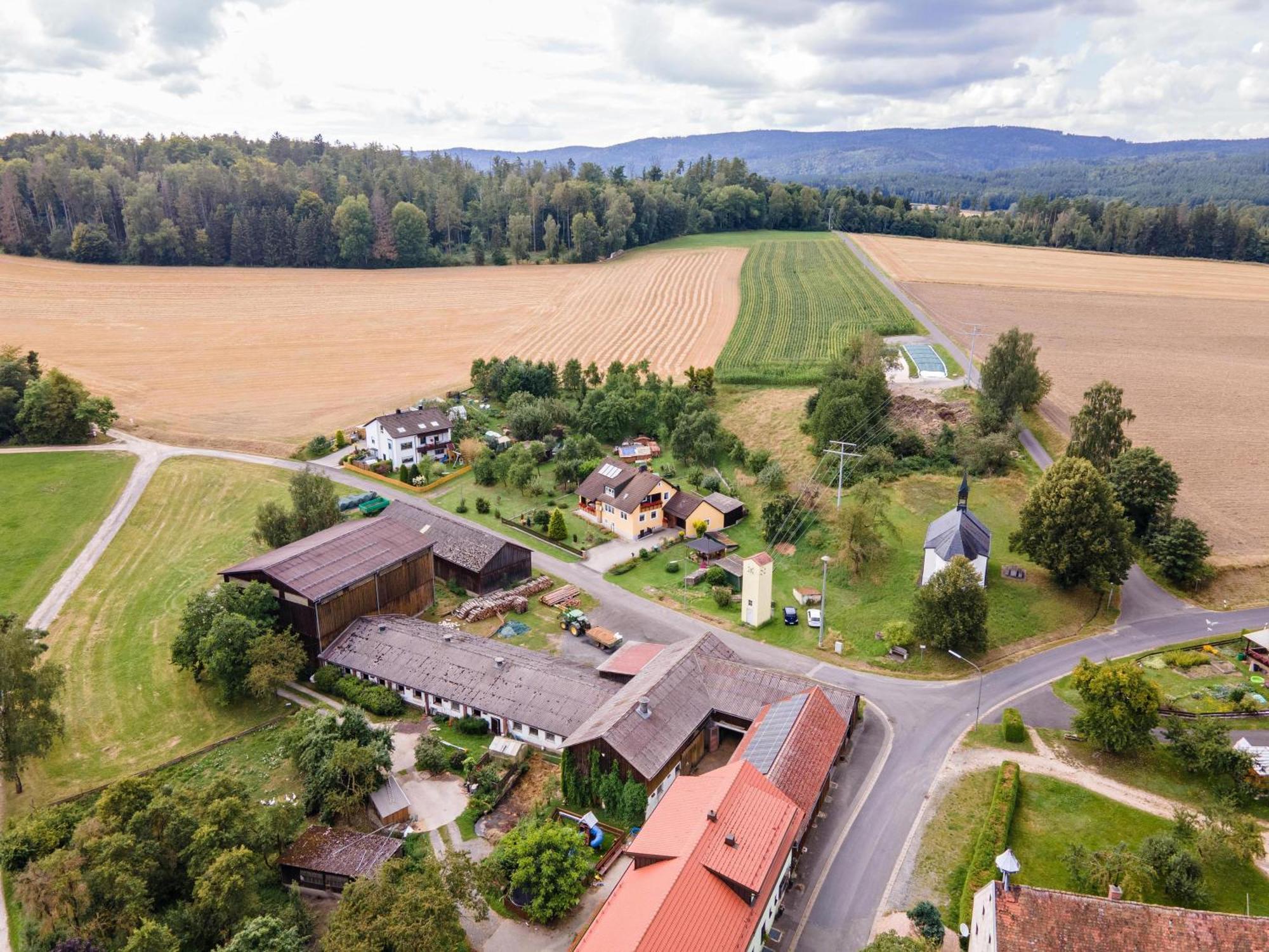 Ferienwohnung Baecher Wiesau Екстер'єр фото