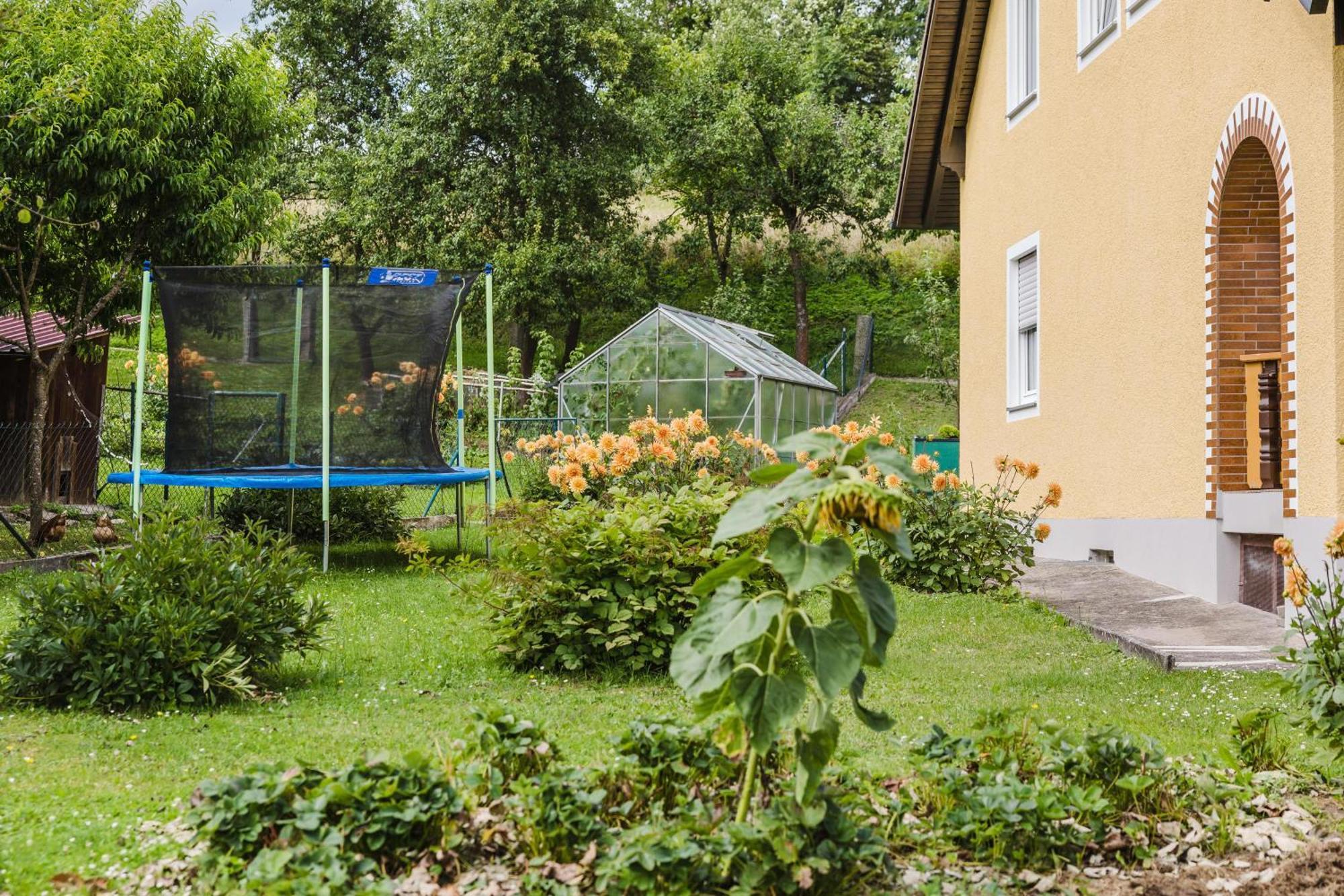 Ferienwohnung Baecher Wiesau Екстер'єр фото